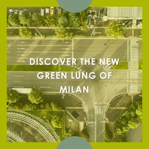 Vettabbia in Passerella: Il Nuovo Polmone Verde di Milano Prende Forma