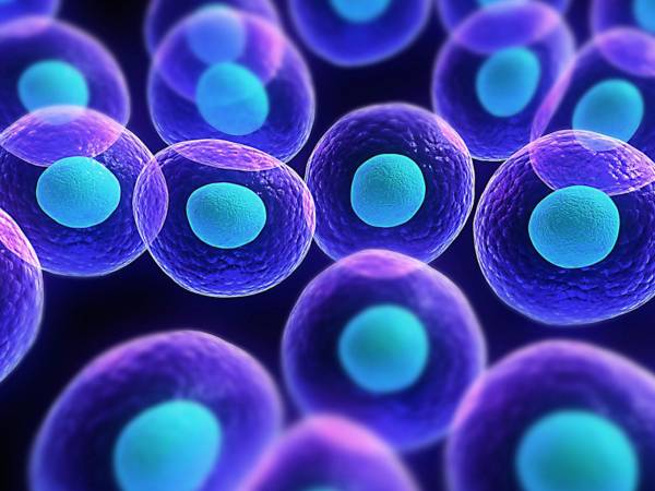 Spagna. Dubbi e polemiche sulle ricerche delle prime linee di staminali embrionali