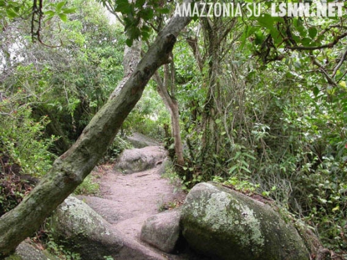 Liberalizzazione Esercizio Farmacie